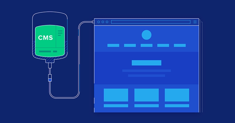 cms web design wireframe